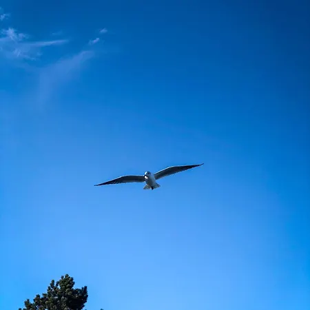 Aussenfoerde Dom wakacyjny *