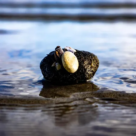 Dom wakacyjny Aussenfoerde