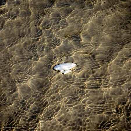 Aussenfoerde Holnishof